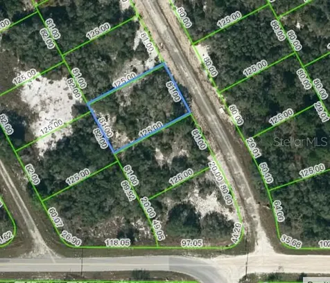 204 Deep Purple Drive Lake Placid FL 33852