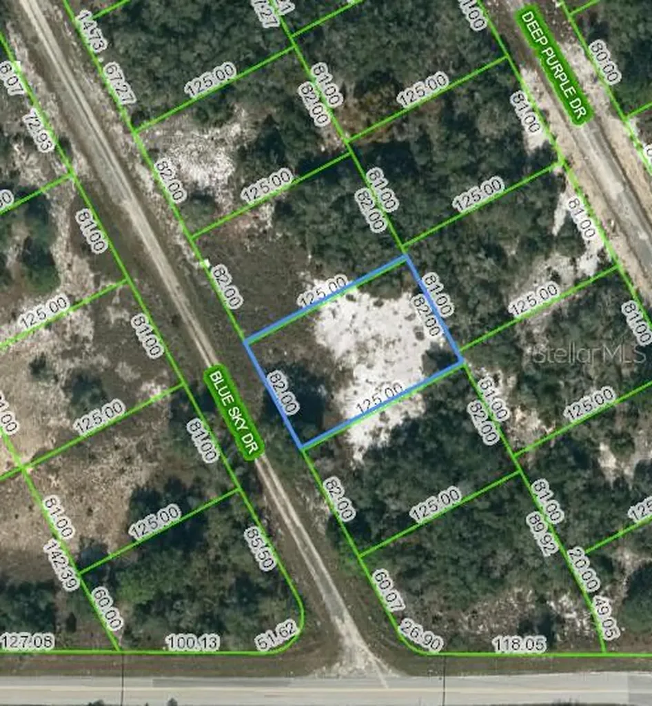 205 Blue Sky Drive Lake Placid FL 33852