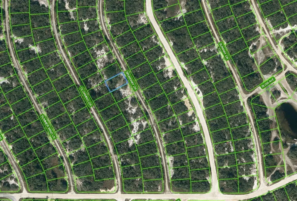 218 Briarway Drive Lake Placid FL 33852
