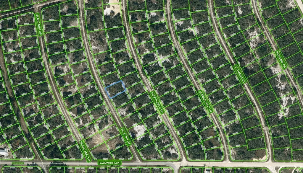 213 Blue Sky Drive Lake Placid FL 33852