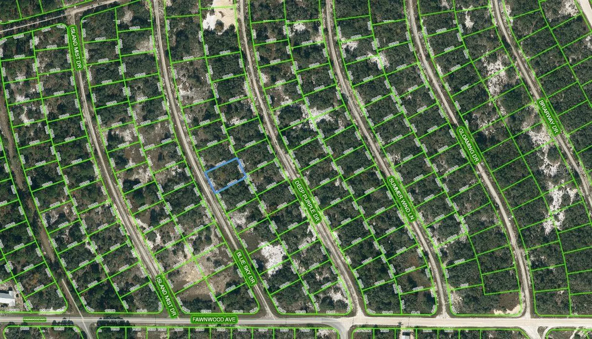 213 Blue Sky Drive Lake Placid FL 33852