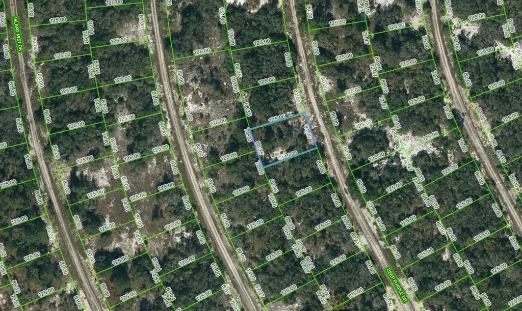 218 Deep Purple Drive Lake Placid FL 33852