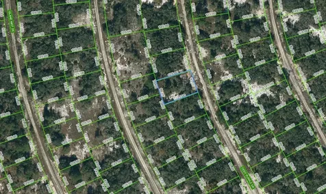218 Deep Purple Drive Lake Placid FL 33852