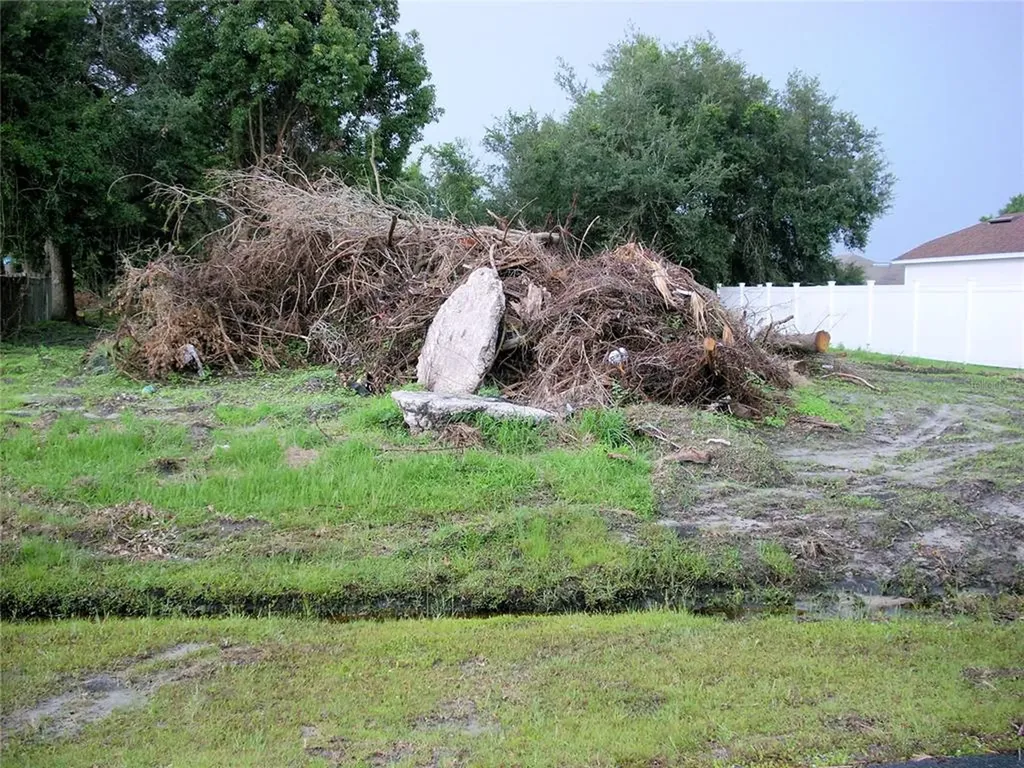 825 Carrousel Lane Kissimmee FL 34759