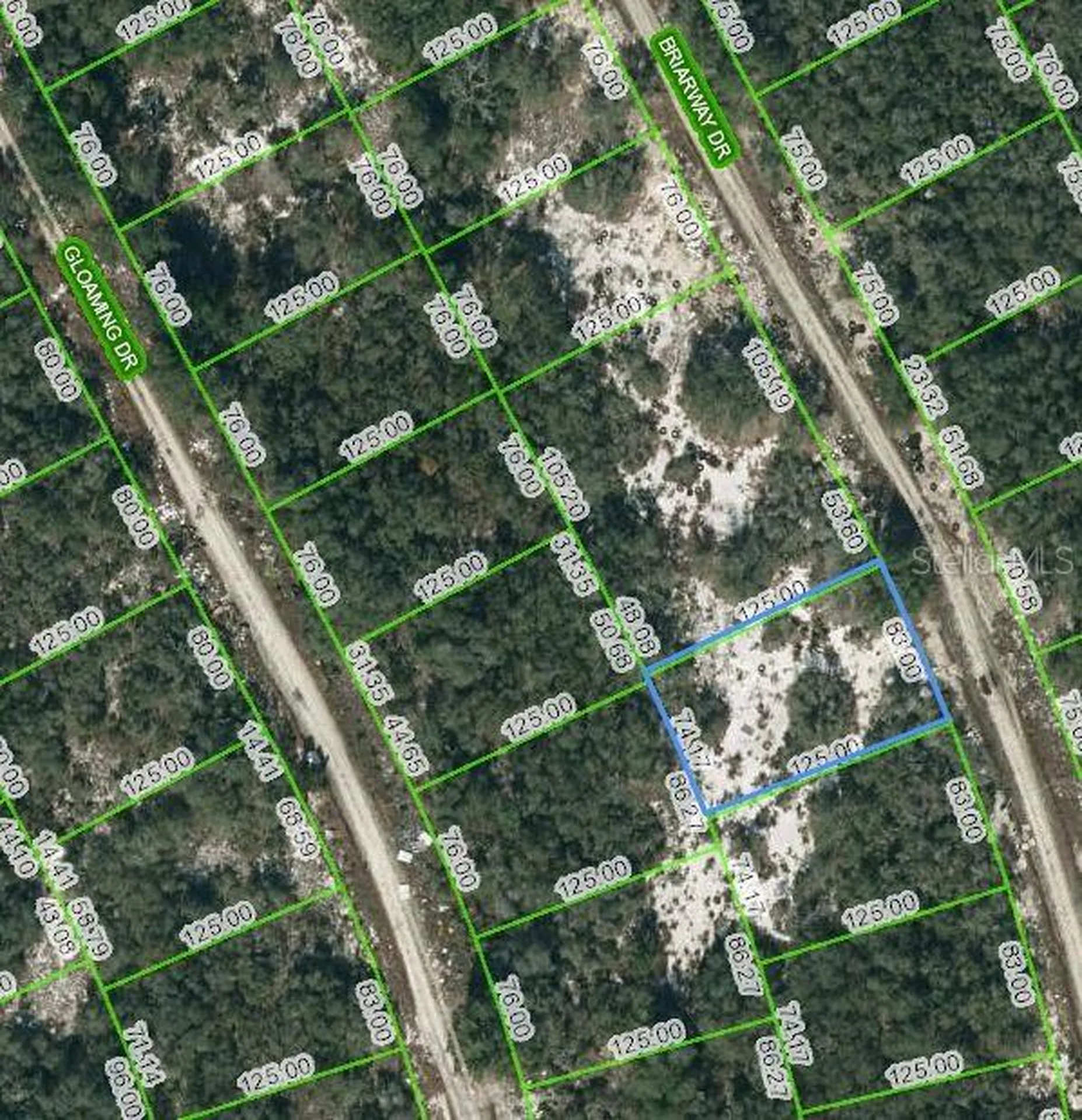 210 Briarway Drive Lake Placid FL 33852