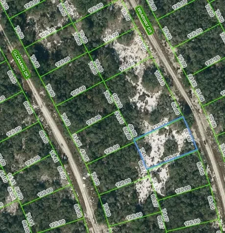 210 Briarway Drive Lake Placid FL 33852
