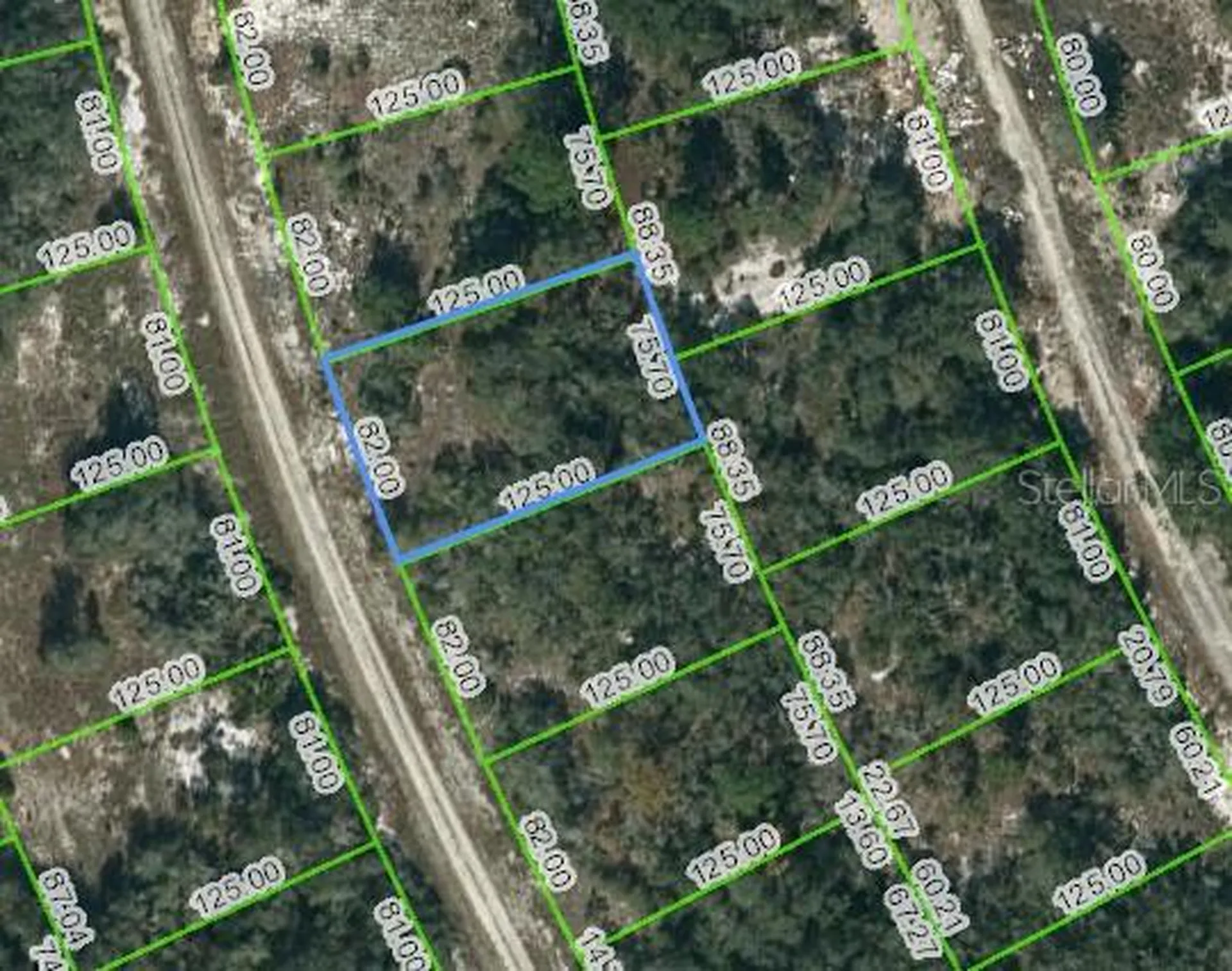 217 Blue Sky Drive Lake Placid FL 33852