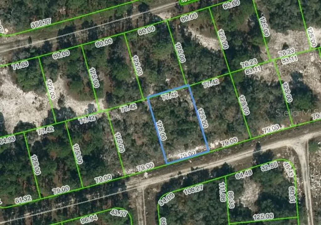 388 Crown Drive Lake Placid FL 33852