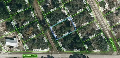 203 Blue Horizon Drive Lake Placid FL 33852