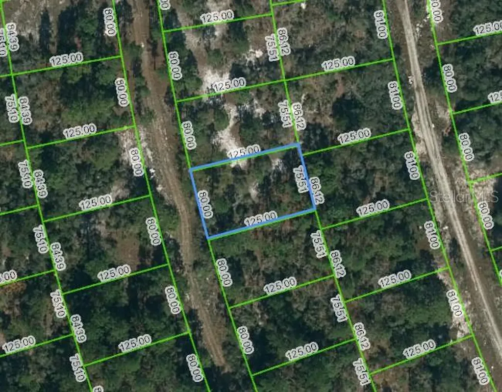 217 Blue Horizon Drive Lake Placid FL 33852