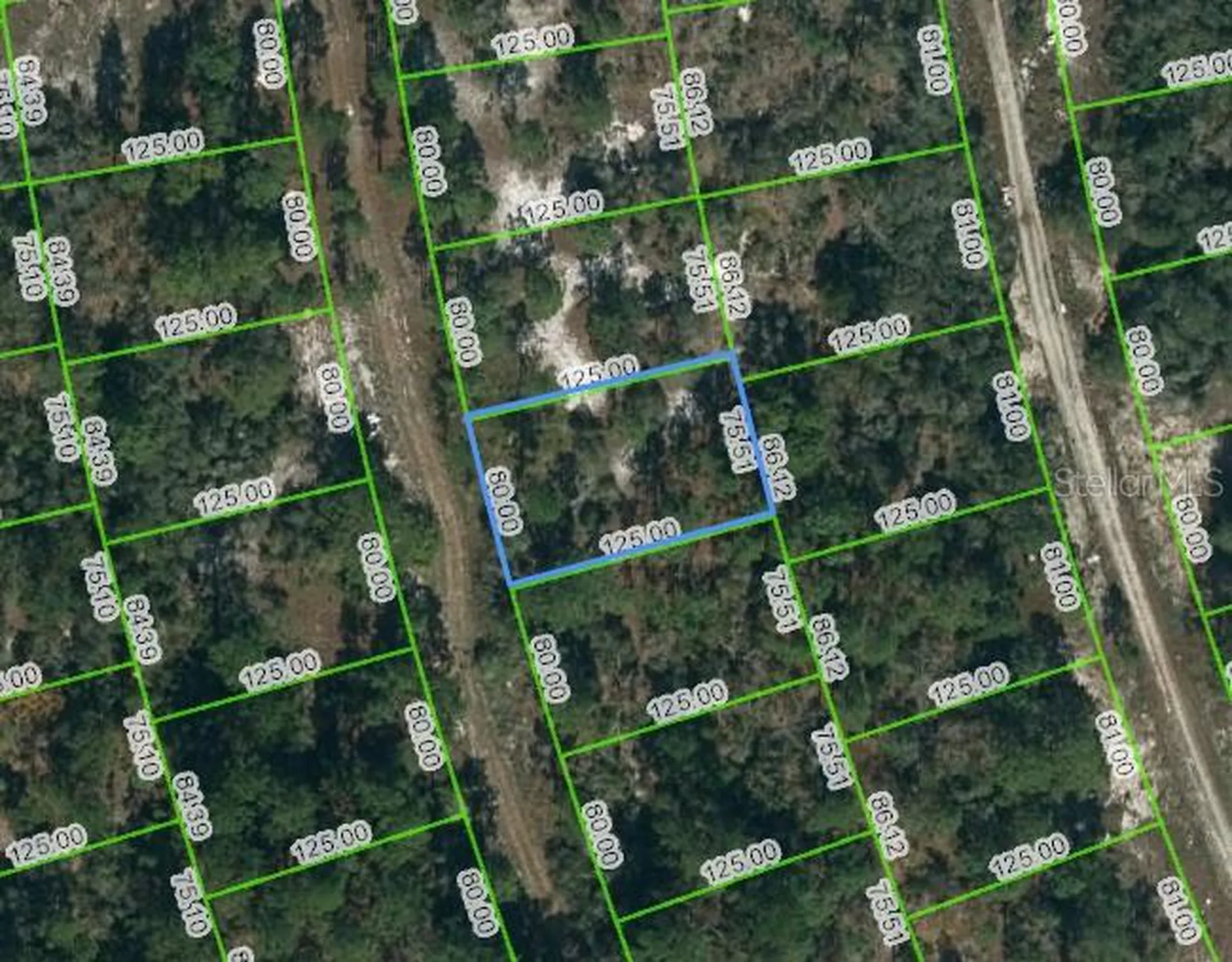 217 Blue Horizon Drive Lake Placid FL 33852