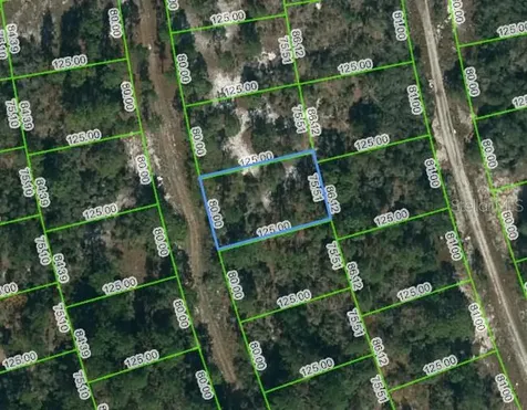 217 Blue Horizon Drive Lake Placid FL 33852