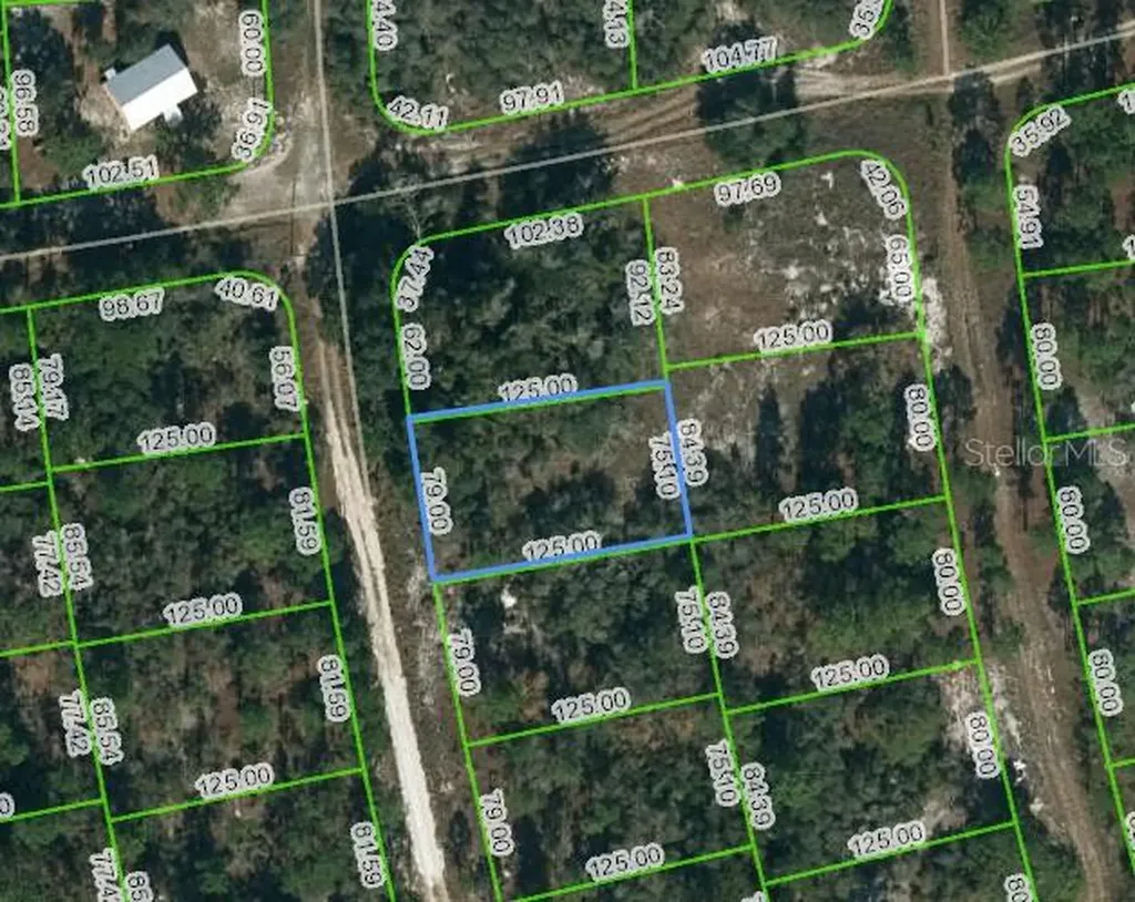 221 Fascination Drive Lake Placid FL 33852