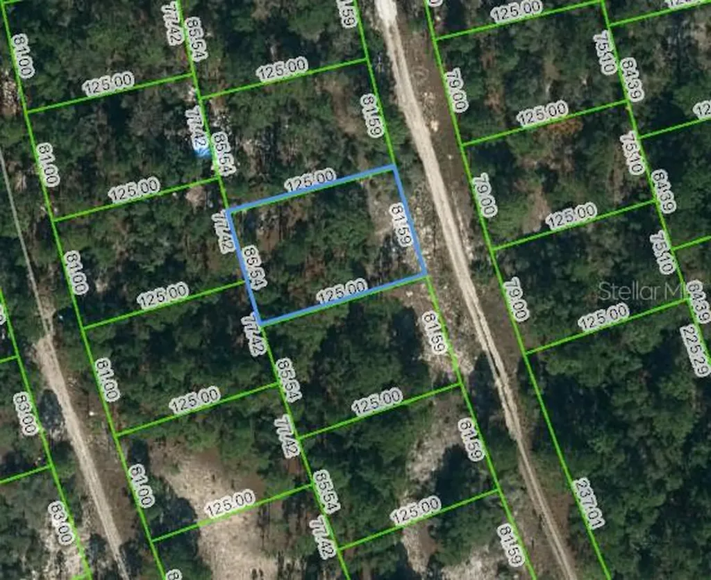 210 Fascination Drive Lake Placid FL 33852