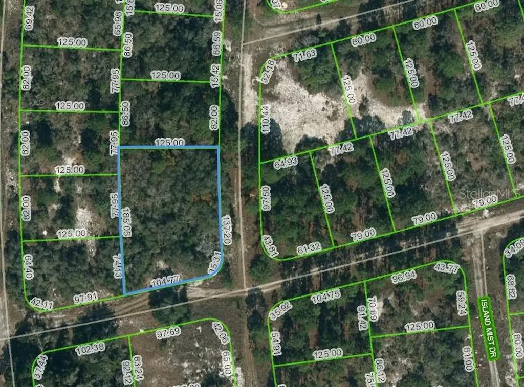 238 Horizon Drive Lake Placid FL 33852