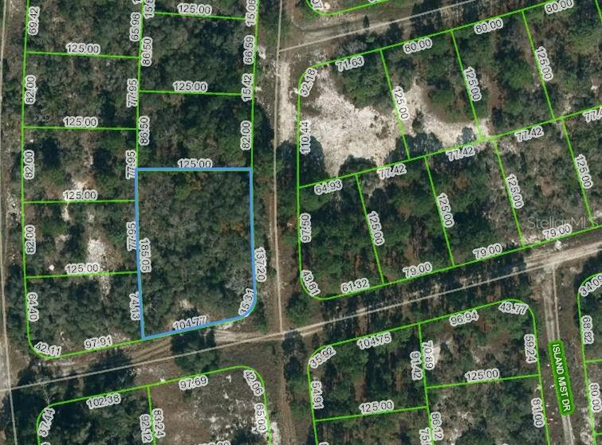 238 Horizon Drive Lake Placid FL 33852