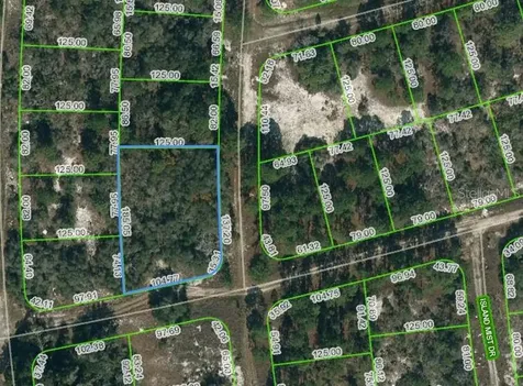 238 Horizon Drive Lake Placid FL 33852