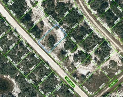 269 Hopedale Drive Lake Placid FL 33852