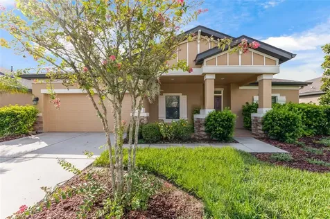 21819 Southern Charm Drive Land O Lakes FL 34637