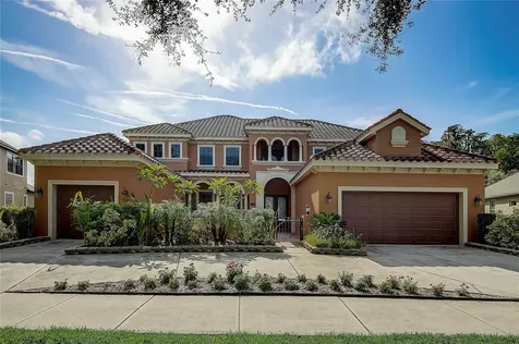 19214 Climbing Aster Drive Tampa FL 33647