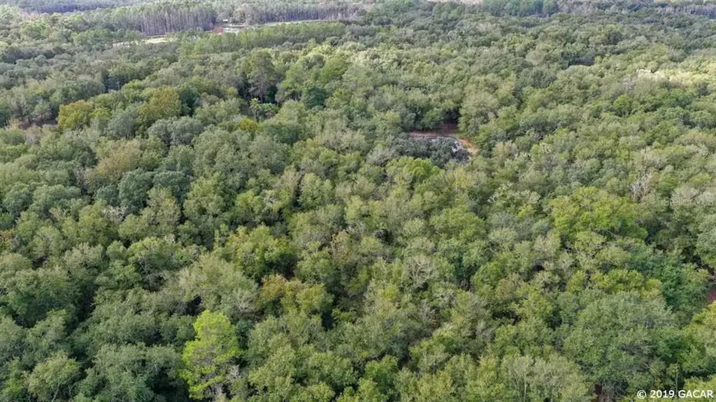 151 Swisher Lakes Trail Melrose FL 32666