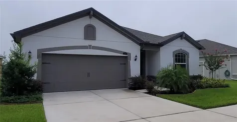 12914 Satin Lily Drive Riverview FL 33579