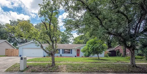 13506 Little Lake Place Tampa FL 33613