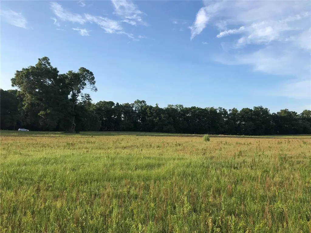 2013 SW Montego Avenue Lake City FL 32024