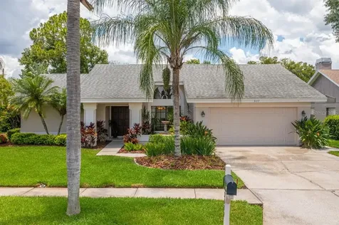 3117 Glenridge Drive Palm Harbor FL 34685