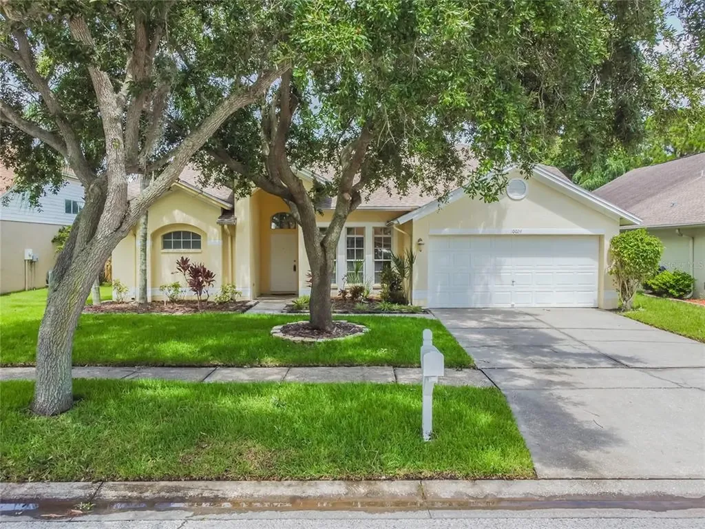 10024 Oasis Palm Drive Tampa FL 33615