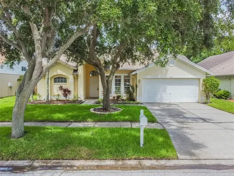 10024 Oasis Palm Drive Tampa FL 33615