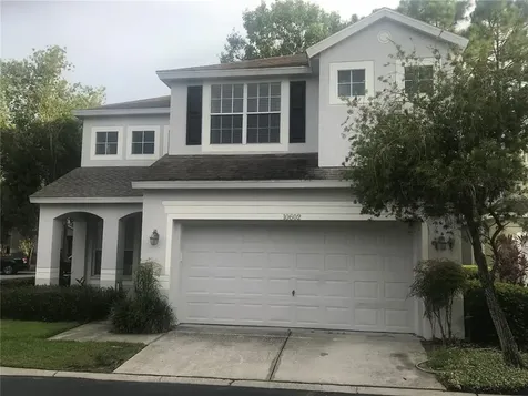 10602 Ashtead Wood Court Tampa FL 33626