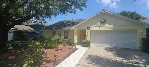 15105 Nighthawk Drive Tampa FL 33625