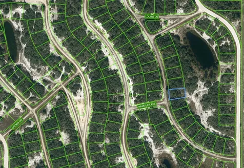 217 Crystal Lake Drive Lake Placid FL 33852