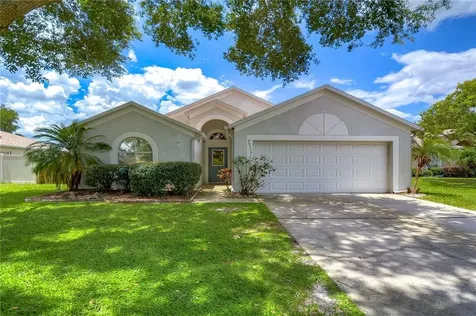 24337 Rolling View Court Lutz FL 33559