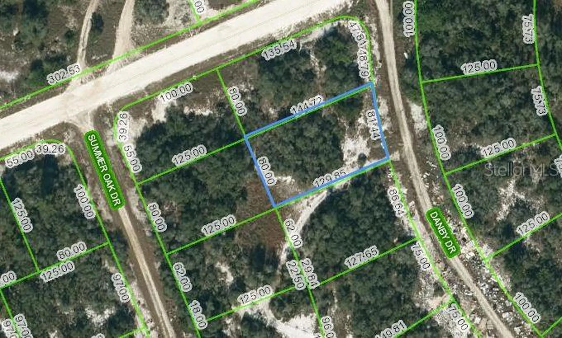 126 Danby Drive Lake Placid FL 33852