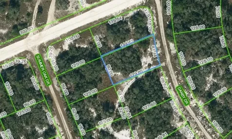 126 Danby Drive Lake Placid FL 33852