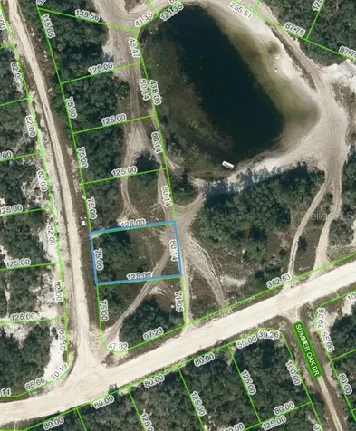 203 Sunway Drive Lake Placid FL 33852