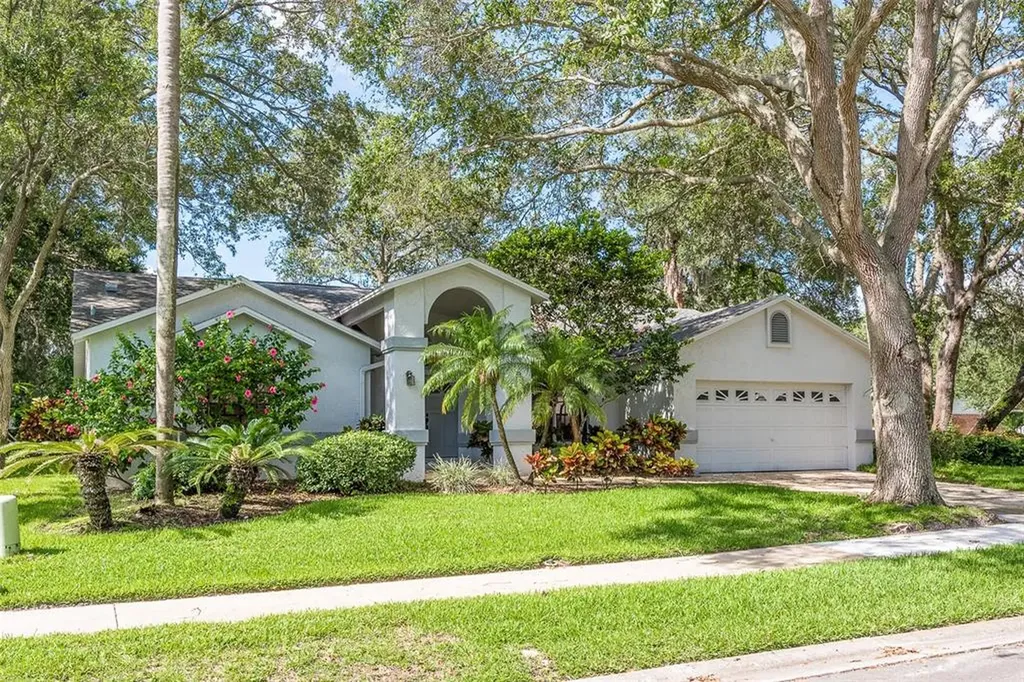 1429 Wetherington Way Palm Harbor FL 34683