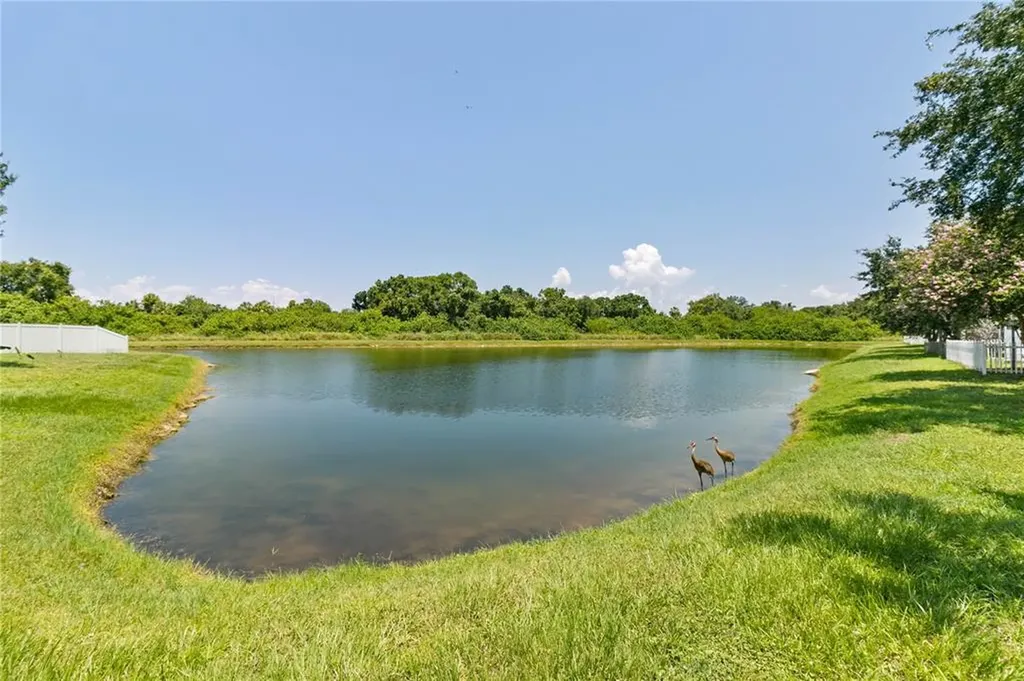 1430 Delano Trent Street Ruskin FL 33570