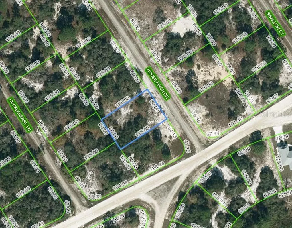 602 House Finch Drive Lake Placid FL 33852