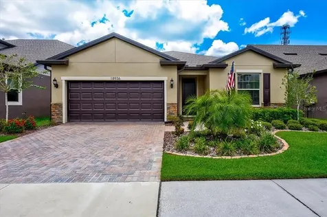18936 Willowmore Cedar Drive Lutz FL 33558