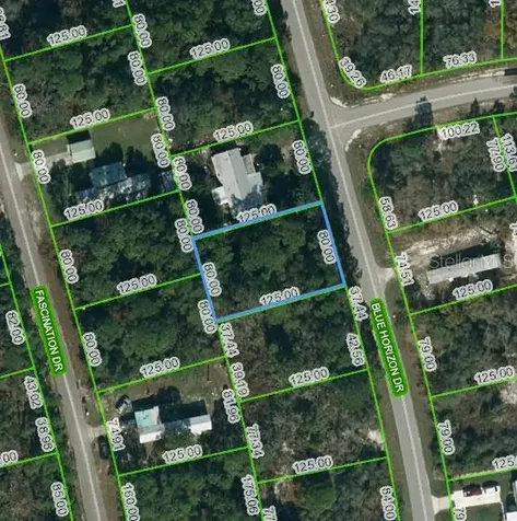 112 Blue Horizon Drive Lake Placid FL 33852