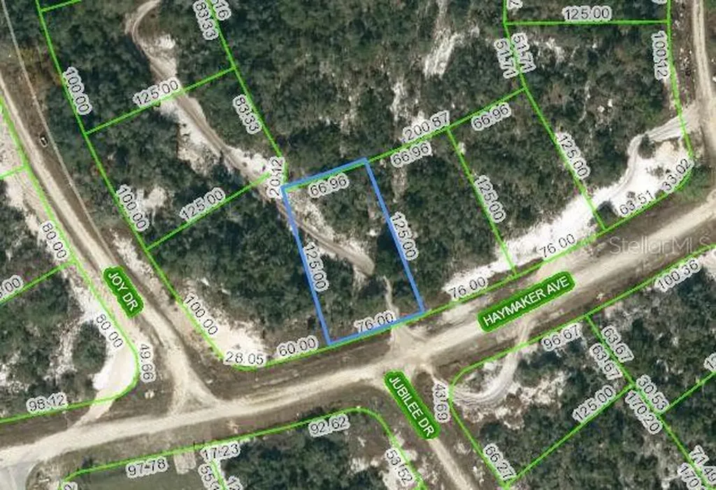 488 Haymaker Avenue Lake Placid FL 33852
