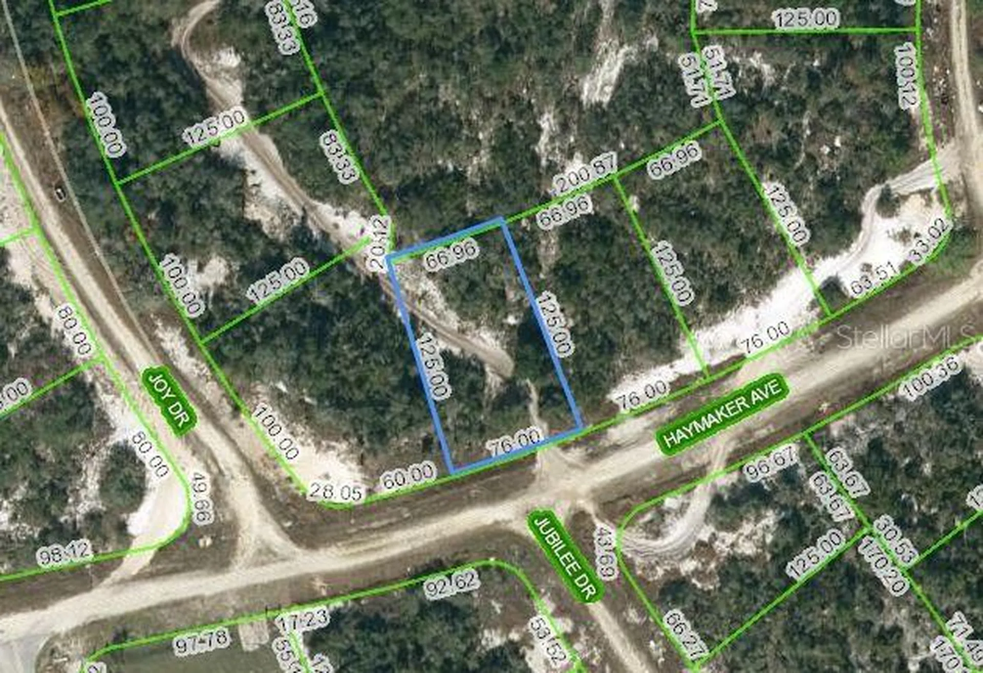 488 Haymaker Avenue Lake Placid FL 33852