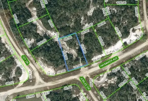 488 Haymaker Avenue Lake Placid FL 33852