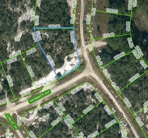 124 Summer Oak Court Lake Placid FL 33852