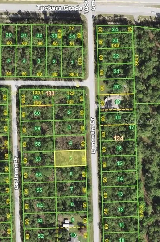 12061 Lamontier Drive Punta Gorda FL 33955