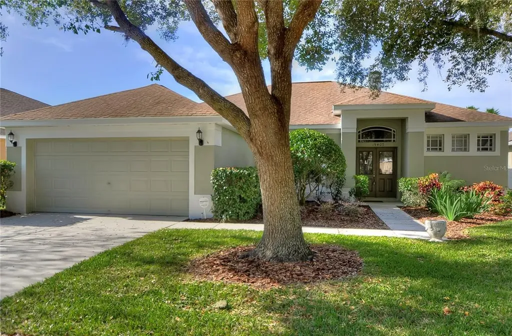 19407 Morden Blush Drive Lutz FL 33558
