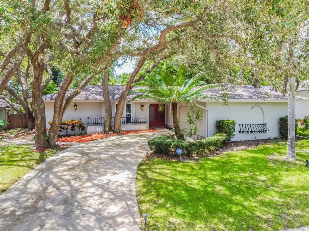 817 Highview Drive Palm Harbor FL 34683
